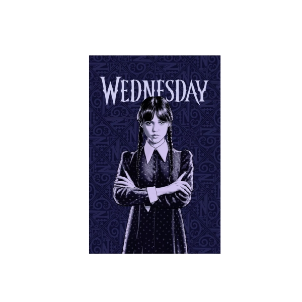 Wednesday polár pléd 
